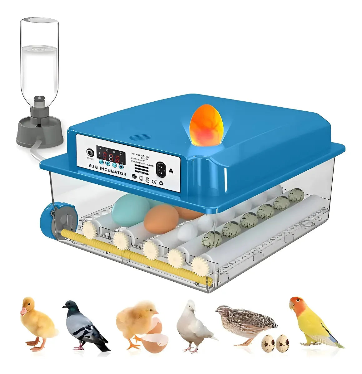 Incubadora Automática Inteligente Incubadora Avícola 16 Espacios 80w Azul