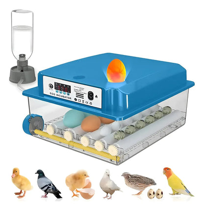 Incubadora Automática Inteligente Incubadora Avícola 16 Espacios 80w Azul