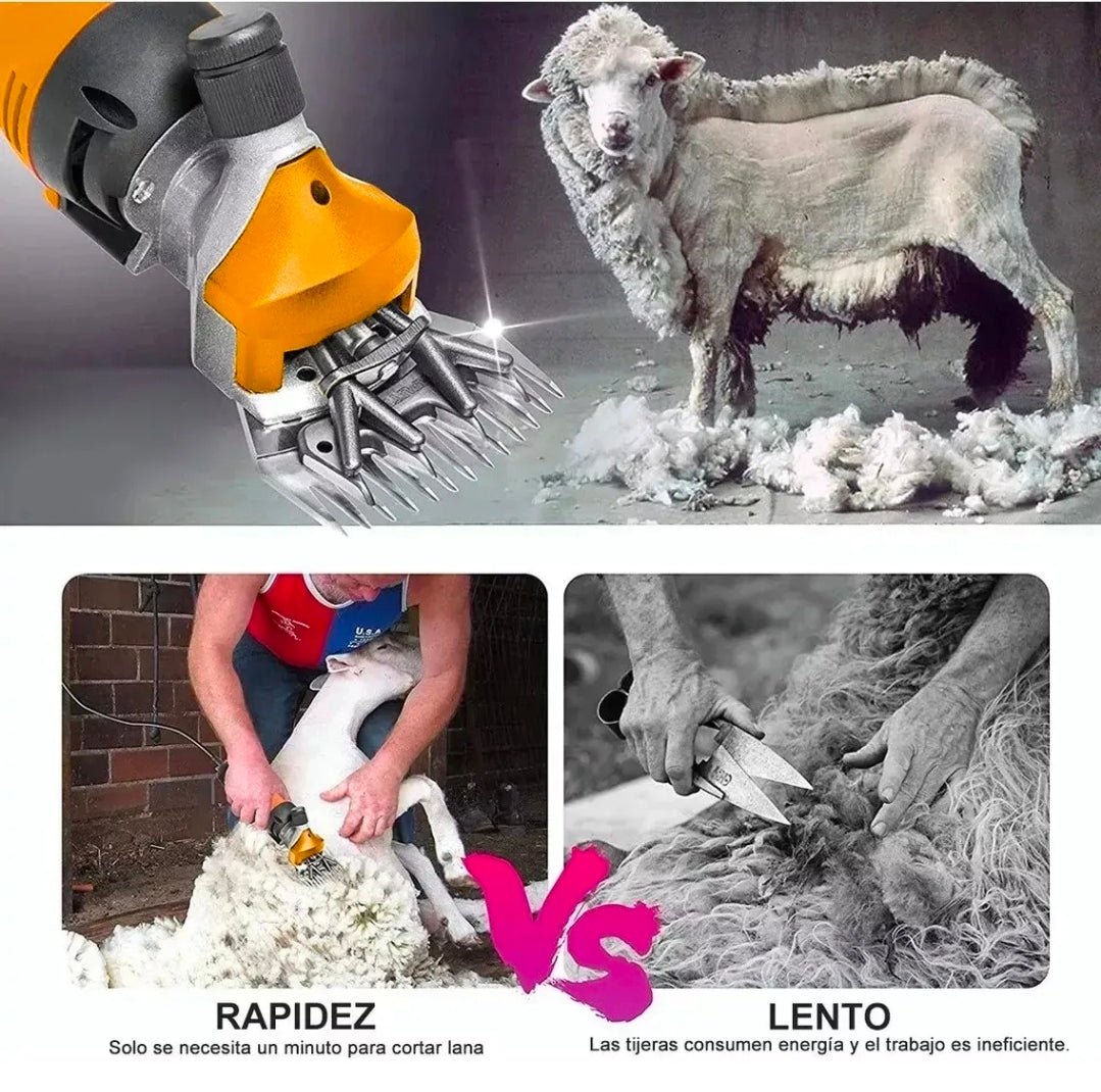 Rasuradora Trasquiladora Para Borregos Ovejas Y Perro Grande 1800w