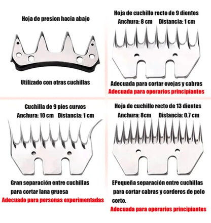 Rasuradora Trasquiladora Para Borregos Ovejas Y Perro Grande 1800w