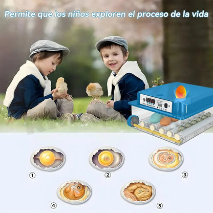 Incubadora Automática Inteligente Incubadora Avícola 16 Espacios 80w Azul