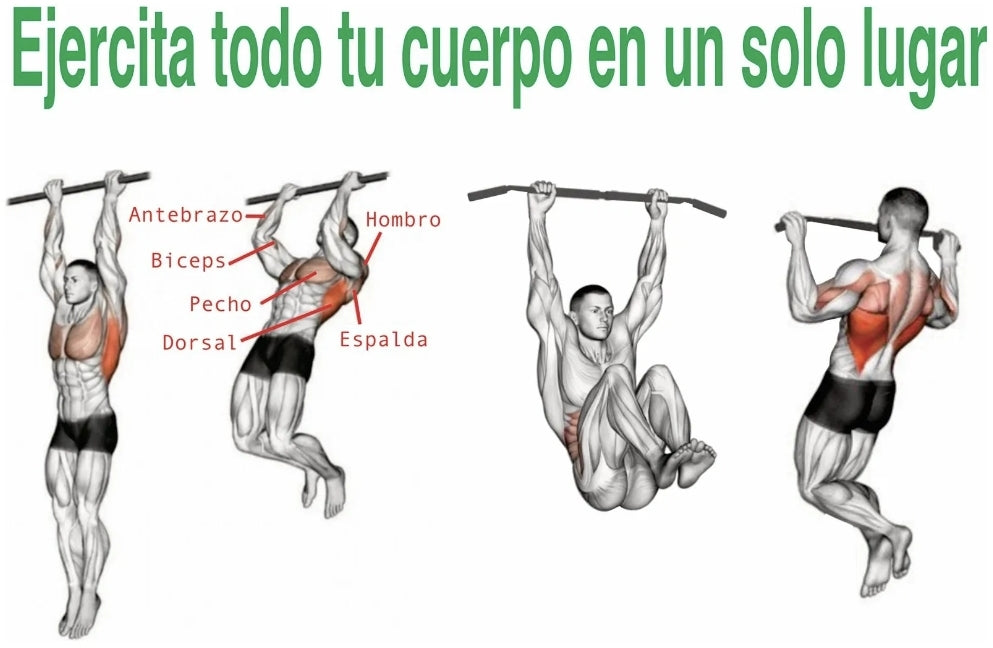 Barra Para Dominadas Abdominales  NEGRO soporte 150kg