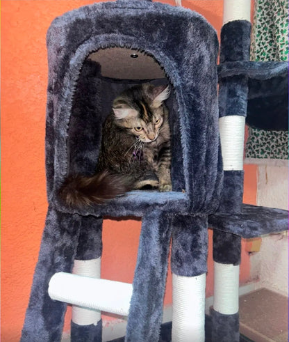 Juego Árbol Para Gatos Con Cesta, Torre y Rascador 140cm