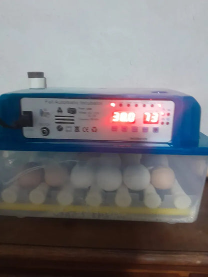 Incubadora Para 36 Huevos Con Control De Temperatura Y Giro