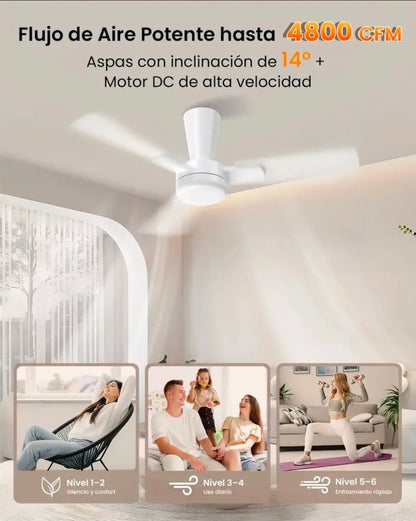 Ventilador De Techo 42" Aspas De Doble Acabado, 6 Velocidades, 3 Tonos De Luz