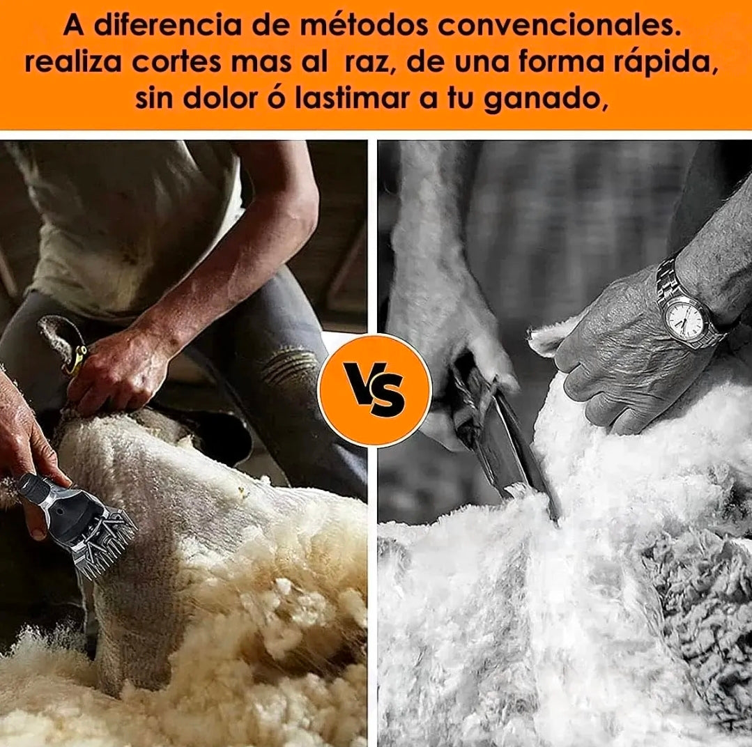 Rasuradora Trasquiladora Para Borregos Ovejas Y Perro Grande 1800w