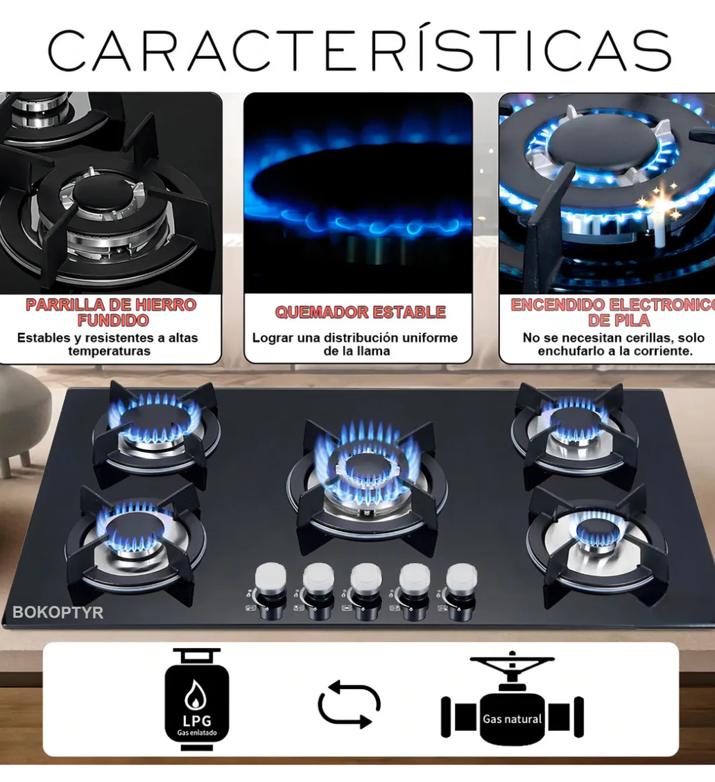 Parrilla vidrio templado 5 quemadores Bokoptyr