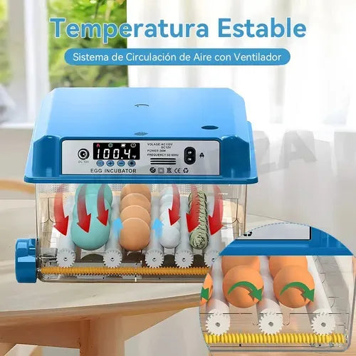 Incubadora Automática Inteligente Incubadora Avícola 16 Espacios 80w Azul