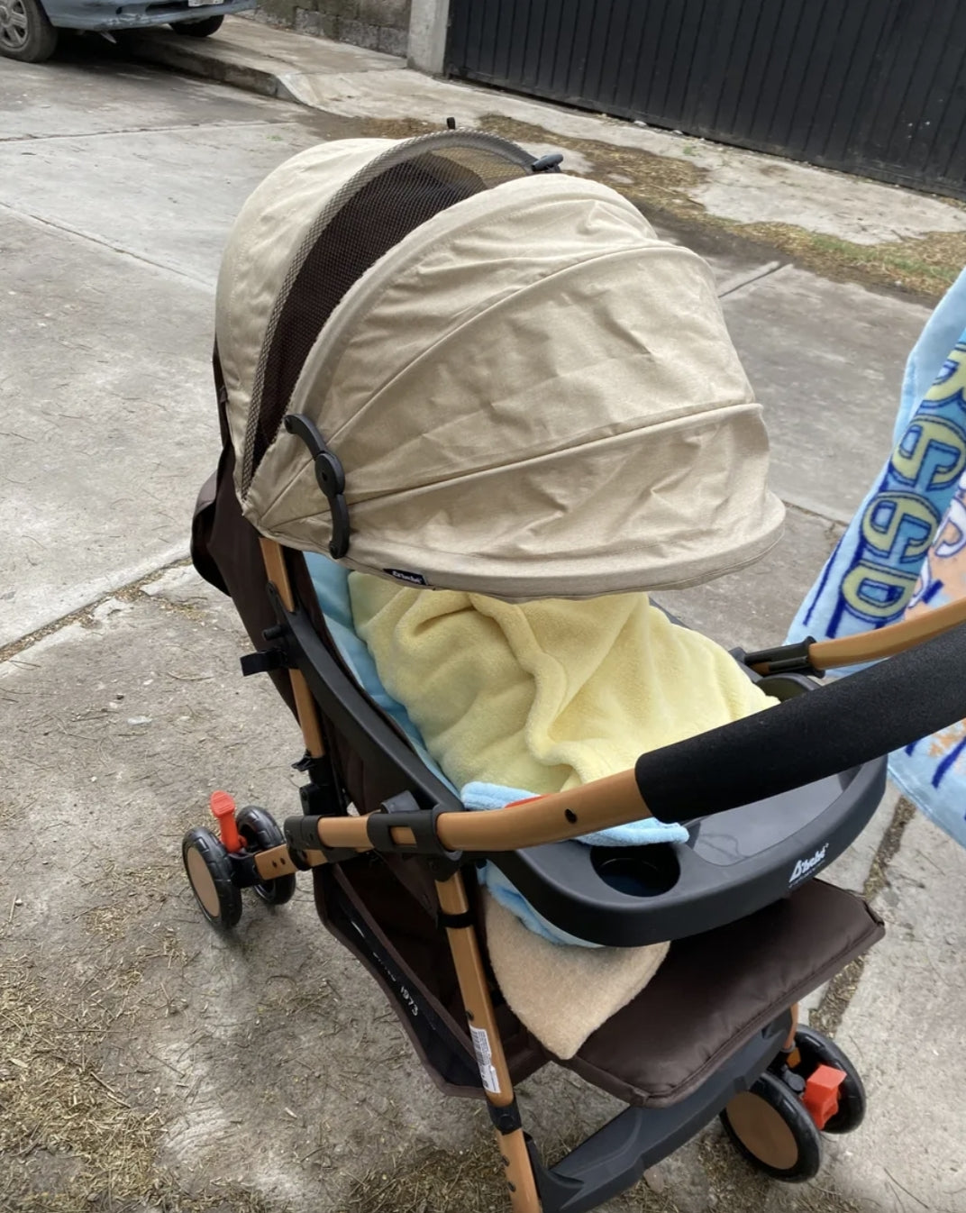 Carriola Reversible Ligera