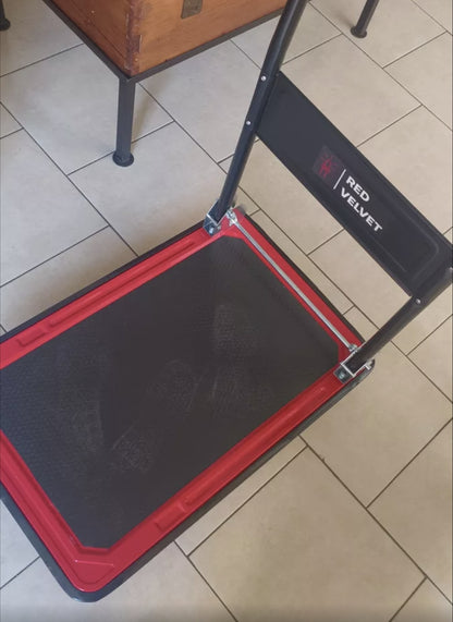 Carro Plataforma Transportador Plegable De Acero
150kg