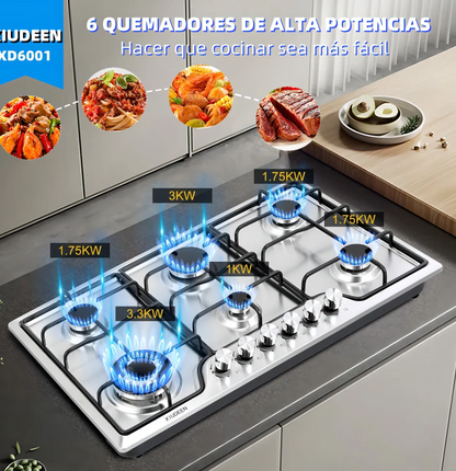 Parrilla XIUDEEN 6 quemadores acero inoxidable