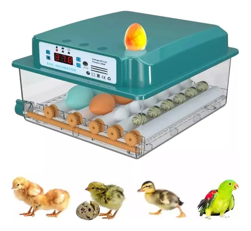 Incubadora Automática Inteligente Incubadora Avícola 16 Espacios 80w Azul