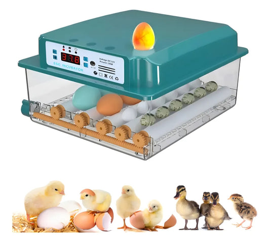 Incubadora Para 36 Huevos Con Control De Temperatura Y Giro