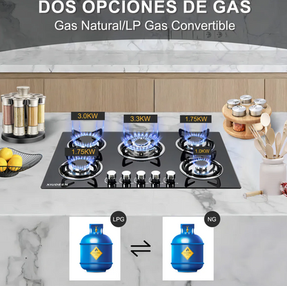 PARRILLA  XIUDEEN DE 5 QUEMADORES VIDRIO TEMPLADO
