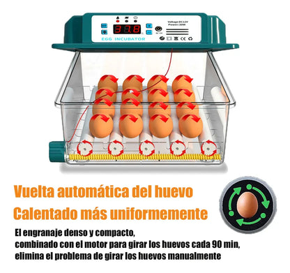 Incubadora Para 36 Huevos Con Control De Temperatura Y Giro