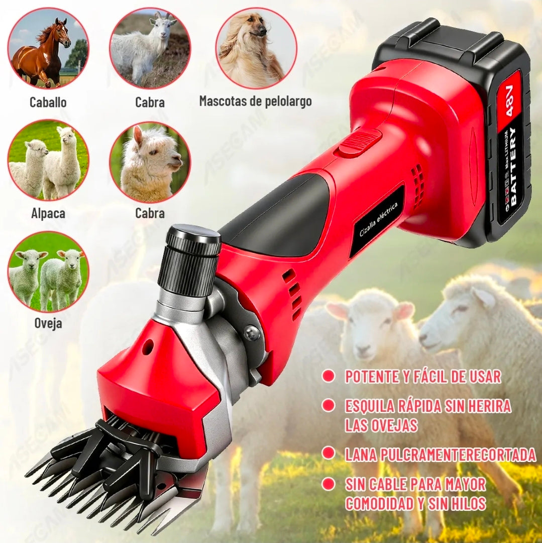Rasuradora Trasquiladora Para Borregos Ovejas Y Perro Grande 3800w