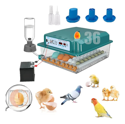 Incubadora Para 36 Huevos Con Control De Temperatura Y Giro