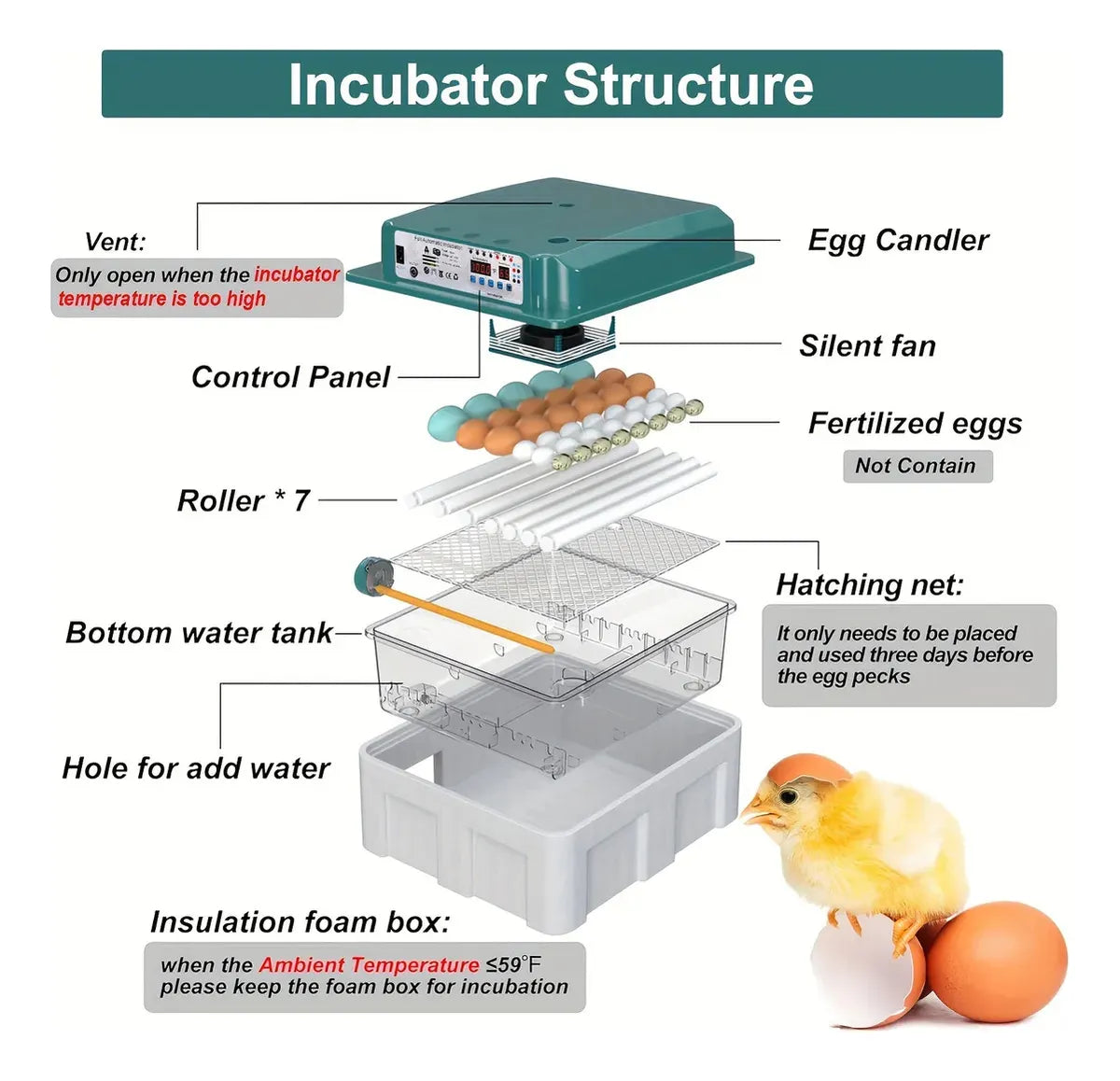 Incubadora Para 36 Huevos Con Control De Temperatura Y Giro